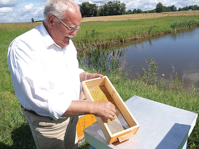 Saimnieks rāda, ka gardos putekšņus no dažādiem ziediem raibās krāsās bišu skrejā igauņu stila stropā savākt viegli.
Autors: Foto – Antra Ērgle