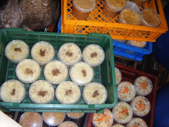 Autors: No «Bauskas Dzīves» arhīva.