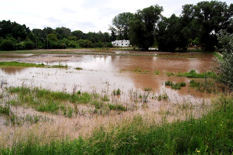 Sējumu apdrošināšana laukkopju vidū kļūst aizvien pieprasītāka, liecina apdrošinātāju dati.
Autors: Foto no blogspot.com.