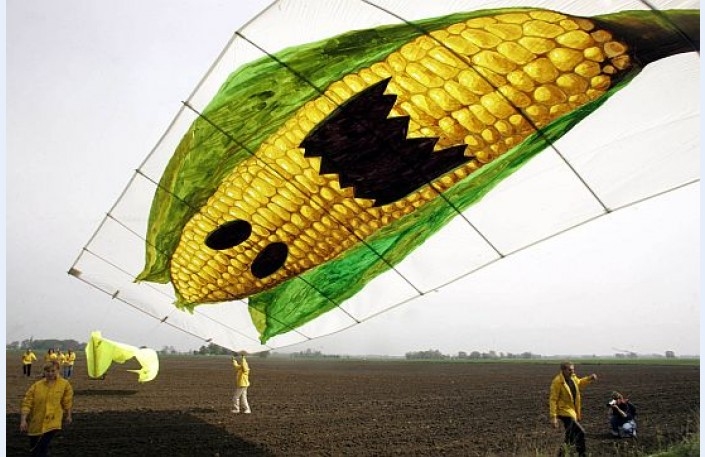 Fotoattēlam ilustratīva nozīme.
Autors: diena.lv