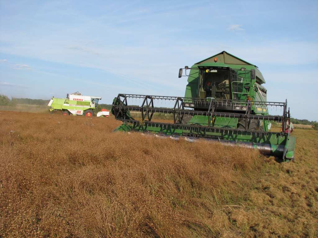 Autors: No «Bauskas Dzīves» arhīva.