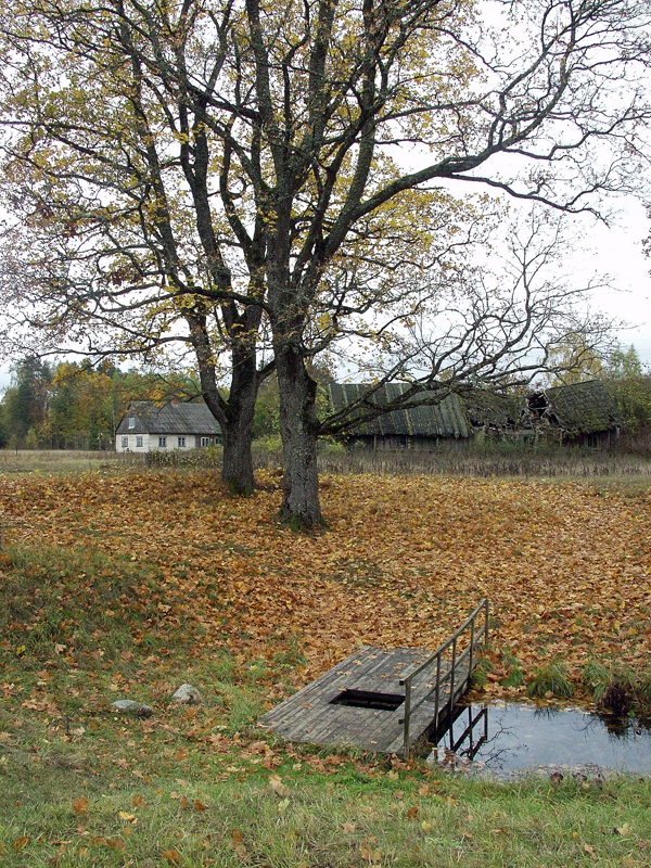 Bārbeles sēravota aizsargājamā teritorija skar desmit Vecumnieku novada meža īpašumus. 
Autors: no «Bauskas Dzīves» arhīva