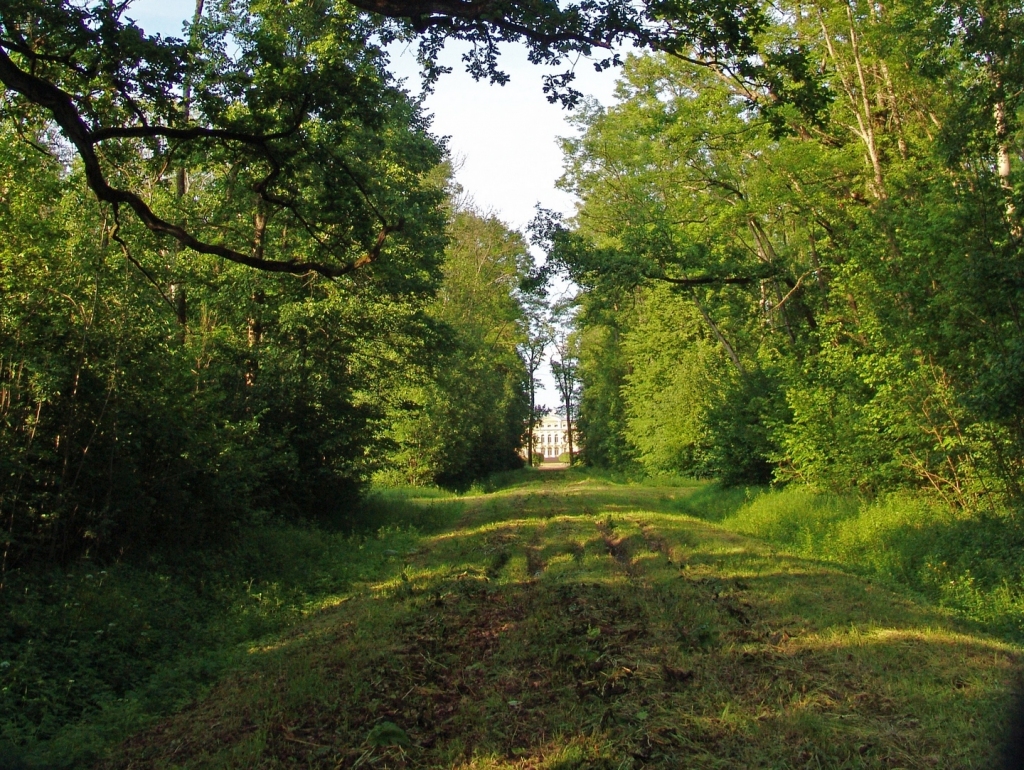 Aluksniesiem.lv raksta attēla aizvietotājs
