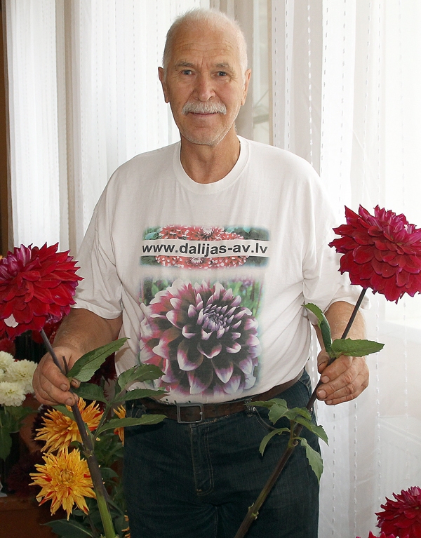 Alvi Vītolu šogad iepriecinājuši lielie ‘Yozora’ šķirnes dāliju ziedi. 
Autors: Uldis Varnevičs
