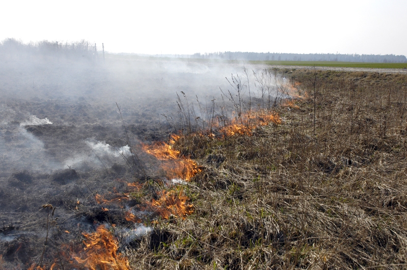 Ugunsdzēsējiem dodoties uz pērnās zāles dedzinātāju izraisītu ugunsgrēku, nākas tērēt prāvus līdzekļus. 
Autors: Ivars Bogdanovs