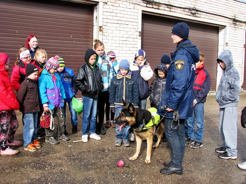 Dzimtmisas pamatskolas audzēkņiem Bauskas policijā aizraujošākā šķita tikšanās ar mācīto suni Enriko. Gudrais suns ir skaists un mīļš, taču skolasbērniem viņu glaudīt ir stingri aizliegts.
Autors: Vilnis Auzāns