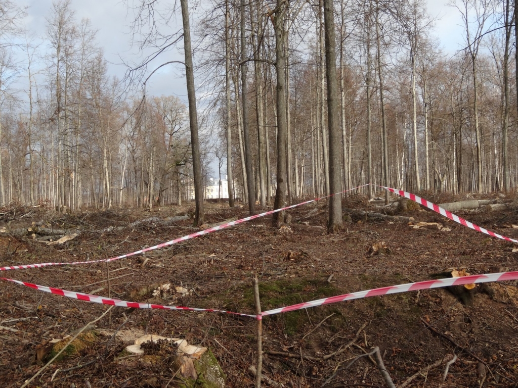  Aptuvenais atrašanās vietas attālums līdz Rundāles pilij.
Autors: Publicitātes foto.