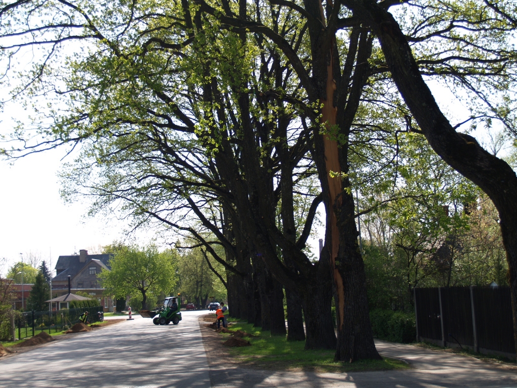 Autors: No «Bauskas Dzīves» arhīva.