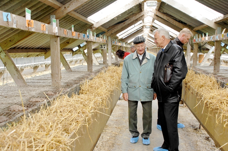 Ar ūdeļu audzētavas darbu iepazīstas Iecavas novada domes pārstāvji.
Autors: Ivars Bogdanovs