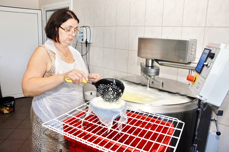 Inga Celma saimniecības «Celmi» siera ražotnē.
Autors: no «Bauskas Dzīves» arhīva.