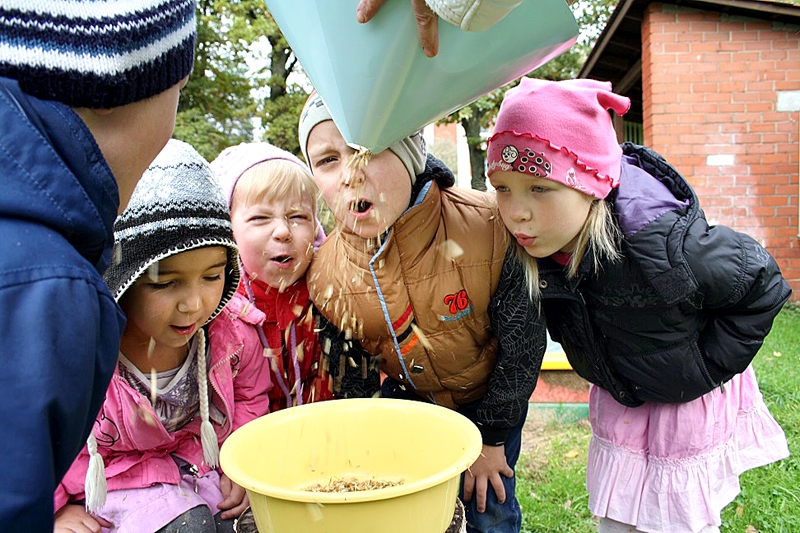 Kopīgi tika gatavota putras maize.
Autors: no bērnudārza albuma