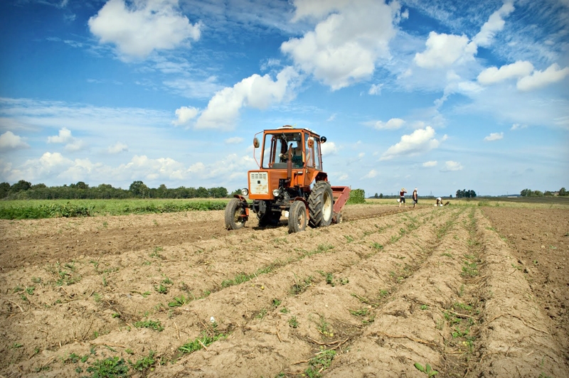 Atbalsts mazajiem zemniekiem būs lielāks, bet prasības var kļūt stingrākas.
Autors: Foto no «Bauskas Dzīves» arhīva.