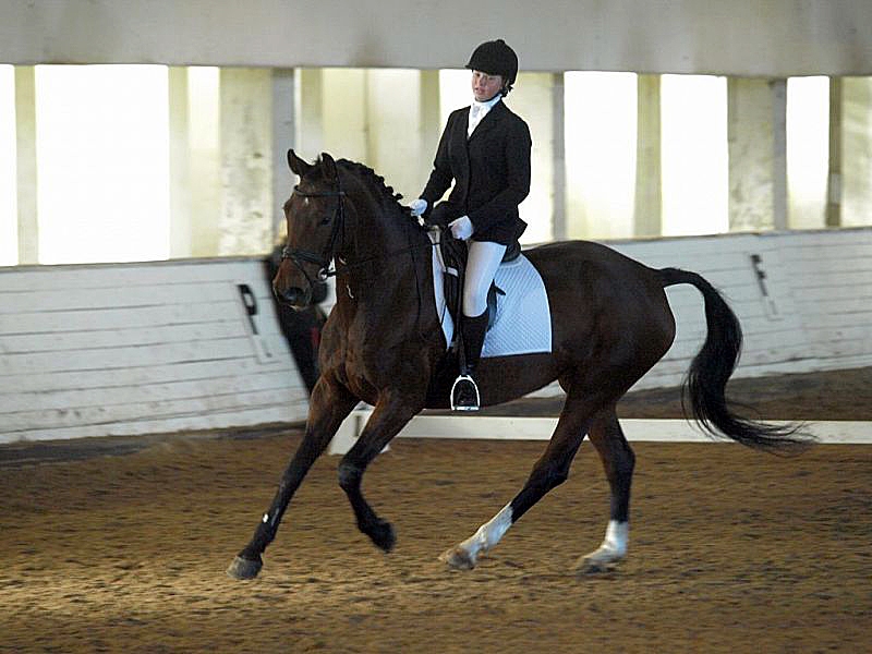 Elīna Griķe iejādē startēja ar zirgu Dakāru. 
Autors: no V. Marčenkovas albuma