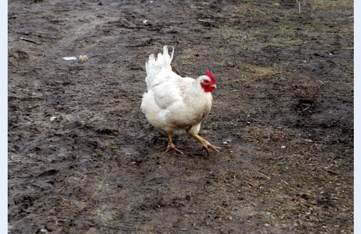 Fotoattēlam ilustratīva nozīme.
Autors: diena.lv