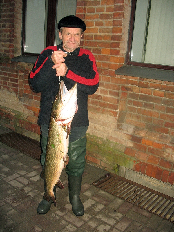 Līdaka, kas no upes izcelta Lāčplēša dienā, ir vienu metru desmit centimetru gara un tikai nedaudz mazāka par copmani Jāni Čerņevski. Cīniņš ar zaļsvārci ir bijis pamatīgs. 
Autors: Ilva Kalniņa