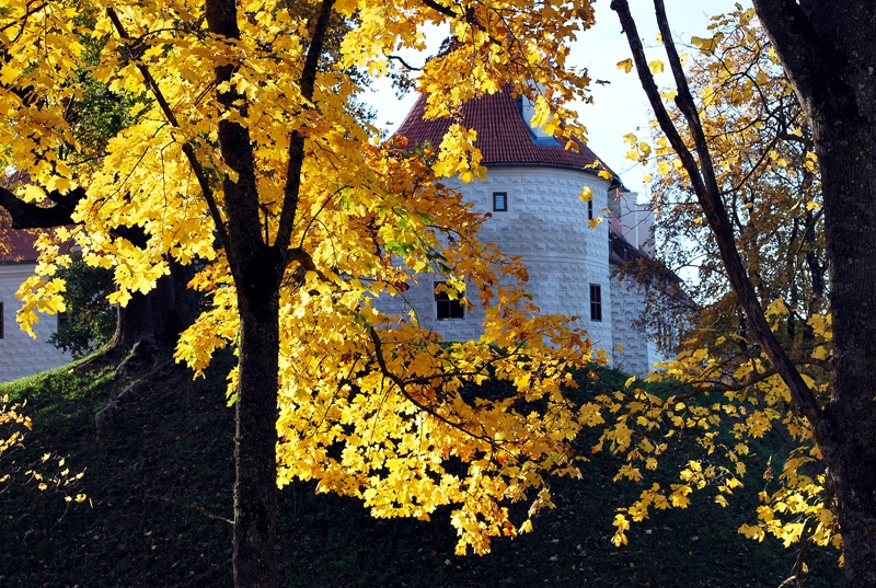 «Daudz izturības un spēka nākotnei –/ Tev, mana zeme,/ Tev, LATVIJA!» (A. Kopeika)
Autors: Foto – Laimonis Šulcs