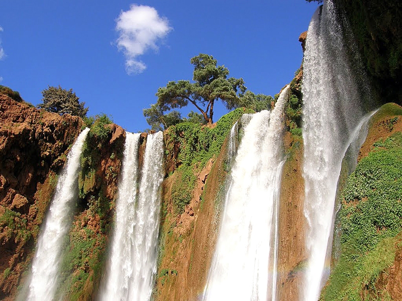 Ouzoud kaskādes. No Marakešas 180 kilometru attālumā apskatāms krāšņs ūdenskritums, kura pakāje sasniedzama pa līkumotām taciņām gar kraujas malu.
Autors: Sandra Danosa