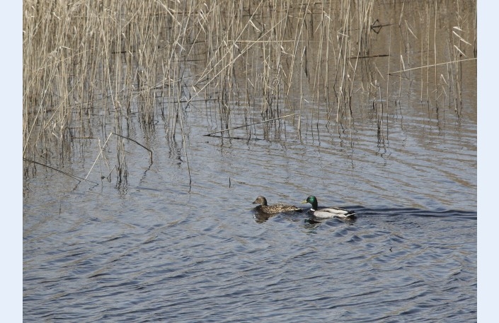 Fotoattēlam ilustratīva nozīme.
Autors: diena.lv