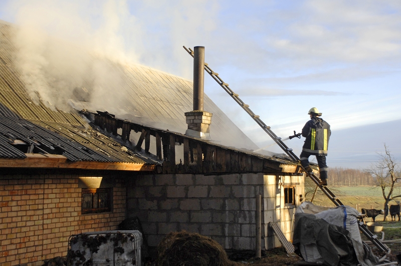 Ugunsdzēsēji likvidē ugunsgrēku Valles pagasta «Kumeles» māju kūts bēniņos.
Autors: Ivars Bogdanovs