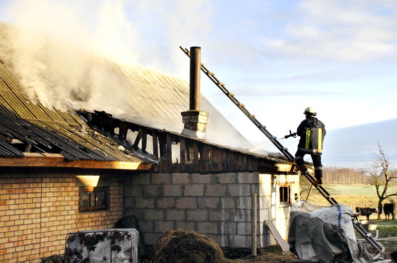 Ugunsdzēsēji likvidē ugunsgrēku Valles pagasta «Kumeles» māju kūts bēniņos.
Autors: Foto – Ivars Bogdanovs