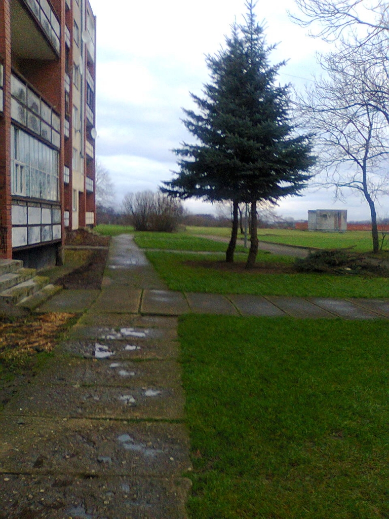 Pārvaldnieks informē, ka iedzīvotāju kopsapulcē nolemts, ka egļu apakšējie zari tiks atstāti mājinieku vajadzībām – vainagu gatavošanai, kapiņu nosegšanai, bet sudrabegļu galotnes tiks uz svētku laiku dāvātas ciema bērnudārzam, skolai un kultūras centram.
Autors: Sandra Danosa