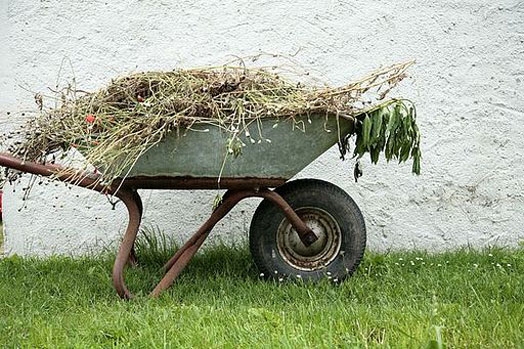 Fotoattēlam ilustratīva nozīme.
Autors: kasjauns.lv