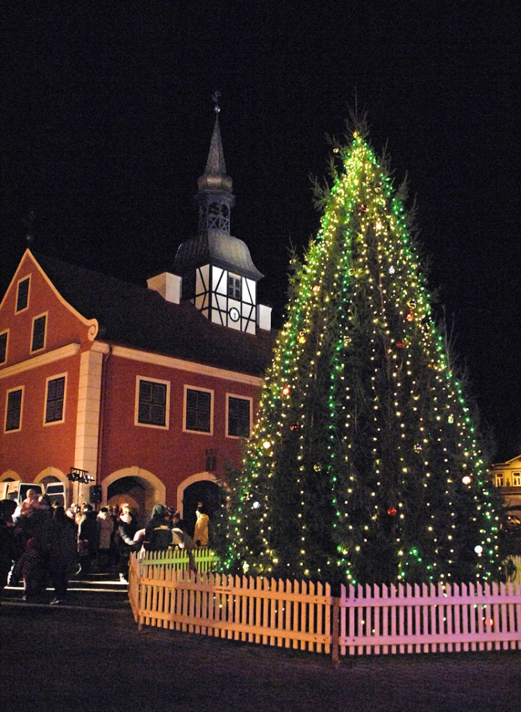 Bauskas galvenajā eglē Rātslaukumā spožas lampiņas iemirdzējās 5. decembra vakarā. 
Autors: Ivars Bogdanovs