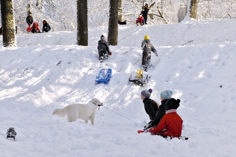 Autors: Ivars Bogdanovs