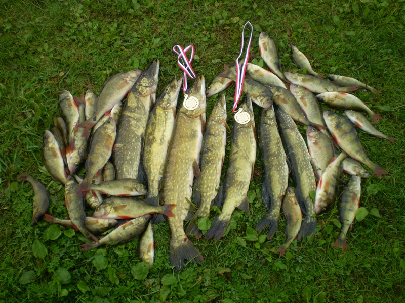 Autors: Einārs Siliņš