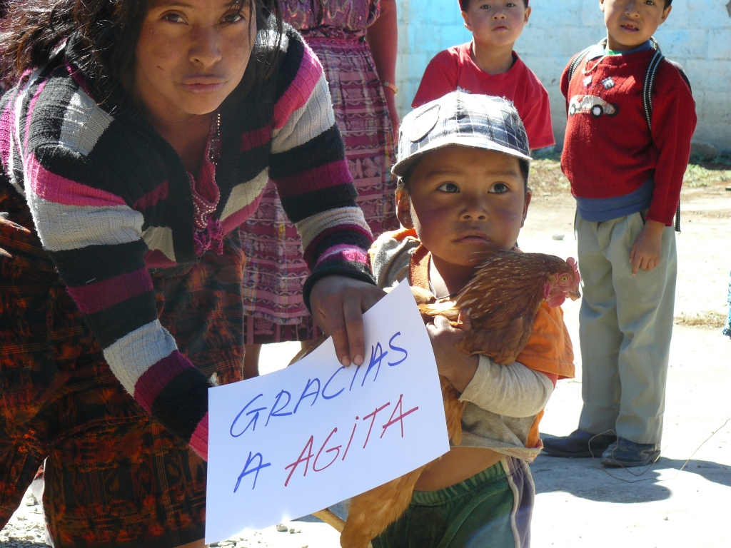 Agitas Haukas dāvātā vista nonākusi gvatemaliešu ģimenē.

Autors: No albuma.