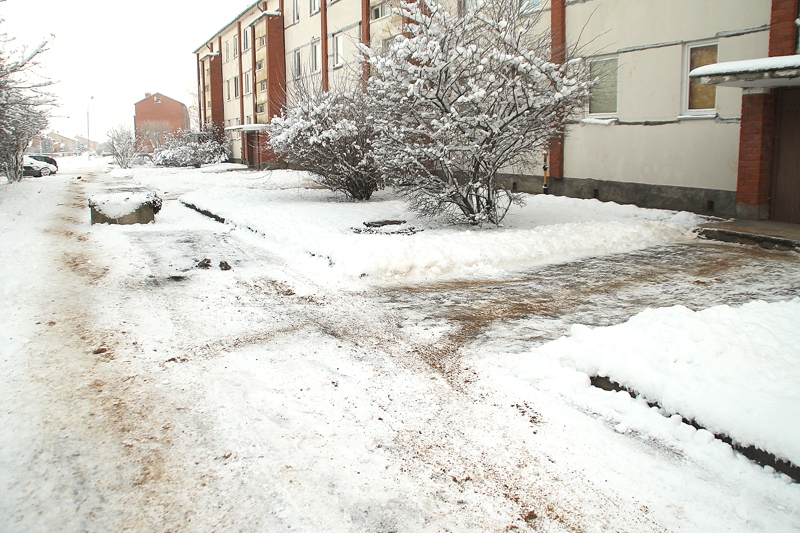 Bauskā, Salātu ielas 28. mājas pagalmā, trotuāri un celiņi bija notīrīti un nokaisīti ar smiltīm. Sētnieces nolaidība nebija manāma. 
Autors: Foto – Uldis Varnevičs