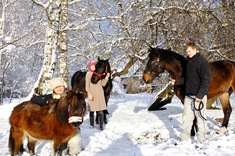 Ikdienas saskarsme ir svarīga ne tikai zirgu pašu starpā, bet arī ar cilvēkiem un citām radībām.
Autors: Foto – Ivars Bogdanovs