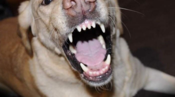 Autors: no apollo.lv