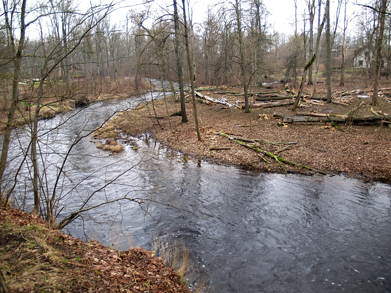 Iecavas upē saliņas pie parka tiek atbrīvotas no bojātajiem kokiem.
Autors: Foto – Antra Ērgle