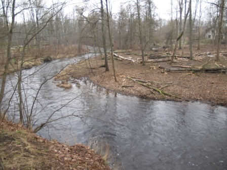 Autors: Antra Ērgle