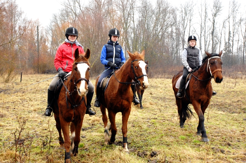 «Lejnieku» saimniecības zirgu mugurā meitenes no Rīgas, Rundāles un Bauskas ievada jauno Zirga gadu, rikšojot pelēkos laukos.
Autors: Ivars Bogdanovs