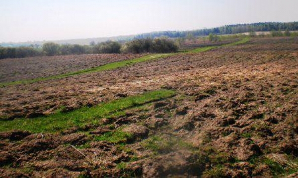 Autors: saimnieks.lv