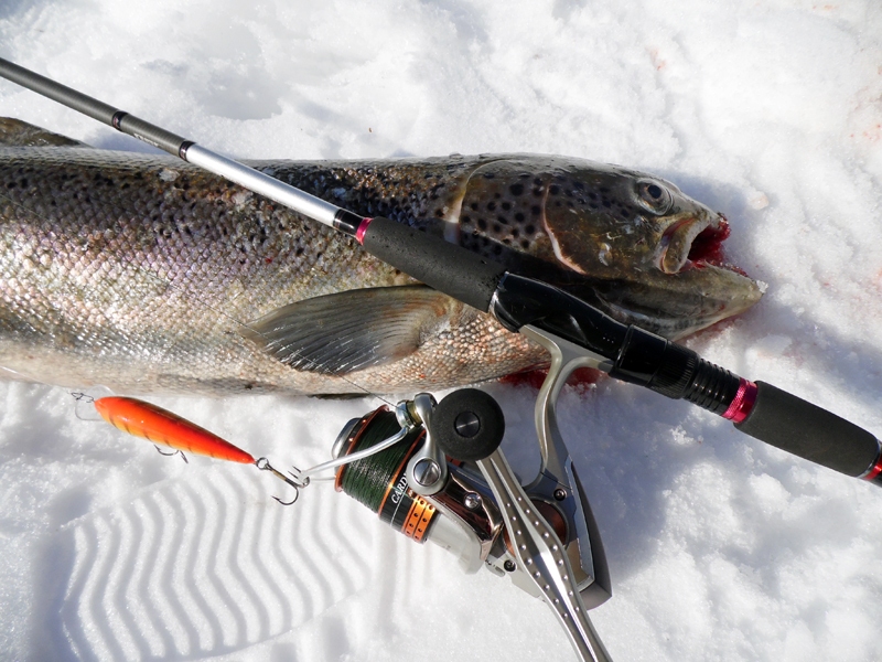 Copē veiksmei ir liela loma. 
Autors: Guntars Auziņš