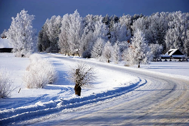 Autors: Foto no «Bauskas Dzīves» arhīva.