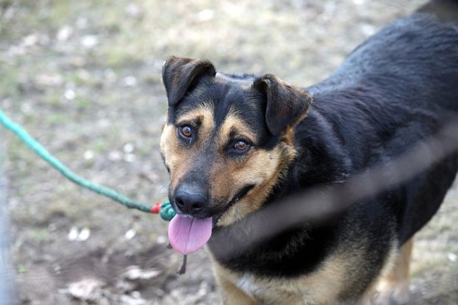 Fotoattēlam ilustratīva nozīme.