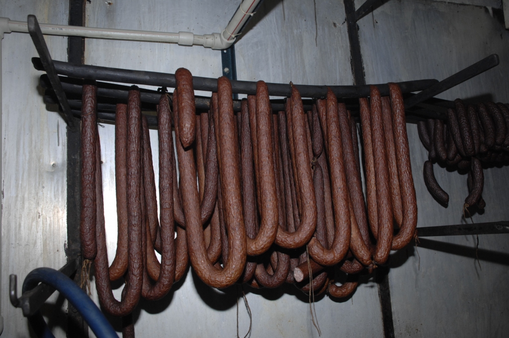 Autors: Ivars Bogdanovs