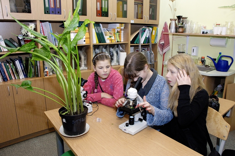 Izpētes brīdis. Līga Pūtele (no kreisās), Agnija Ābelīte un Marta Balama mikroskopā apskata zantedešijas lapu.
Autors: Foto – Ivars Bogdanovs