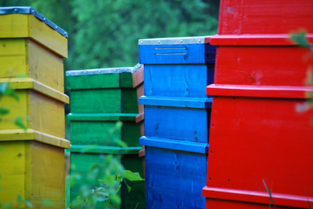 Fotoattēlam ilustratīva nozīme.