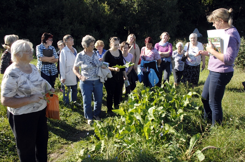 Rundāles novada pensionāru biedrības, tāpat kā pērnajā vasarā, plāno aktīvi līdzdarboties sabiedriskās vides monitoringa jeb dabas vērotāju aktivitātēs. 

Autors: no «Bauskas Dzīves» arhīva