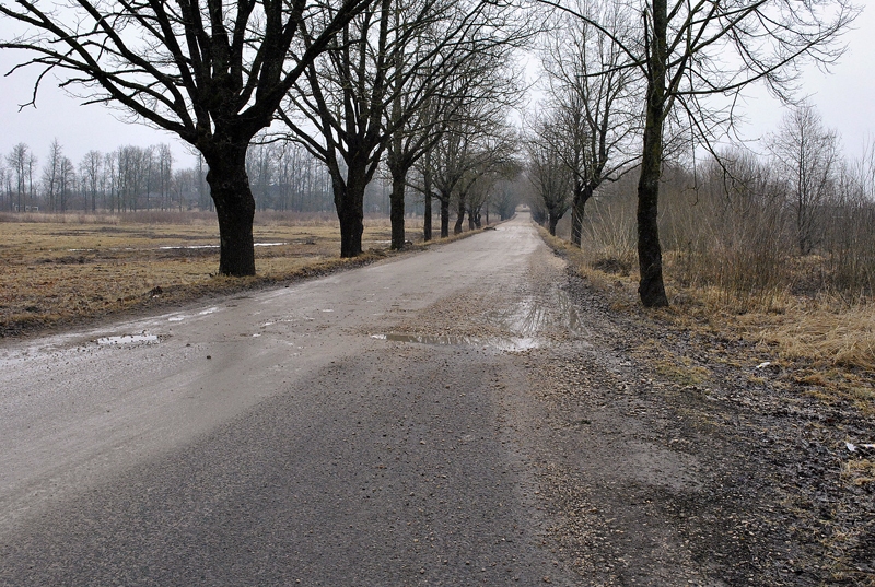Ceļš uz Dzimtmisas skolu un Iecavas novada populārāko tūrisma objektu – minizoo «Dobuļi» – turpina sabrukt.
Autors: Madara Ērgle