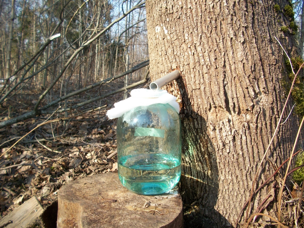 Autors: savejiem.ucoz.net