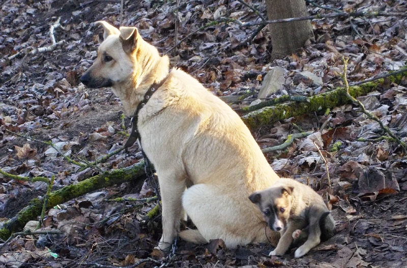 Pamestie...
Autors: Aculiecinieka foto.