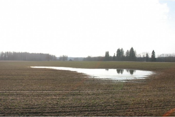 Autors: dzirkstele.lv