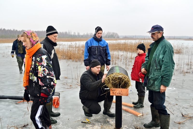 Mākslīgās pīļu ligzdas pasargās jaunos putnēnus, kamēr tie attīstās un nespēj izvairīties no kaitniekiem. 
Autors: I. BRAZAUSKIS