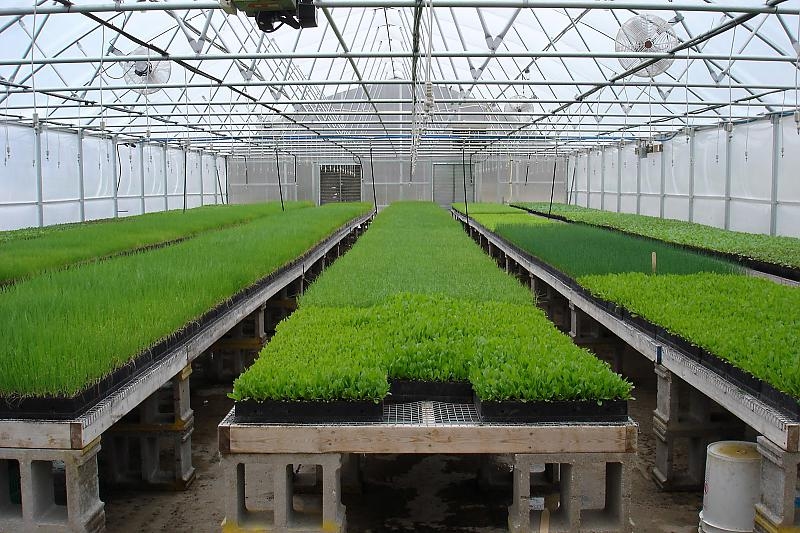 Autors:  no farming.lv